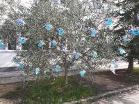 IMG-20220525-WA0021