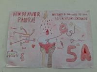IMG-20250213-WA0002