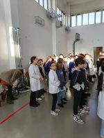 IMG-20250222-WA0043